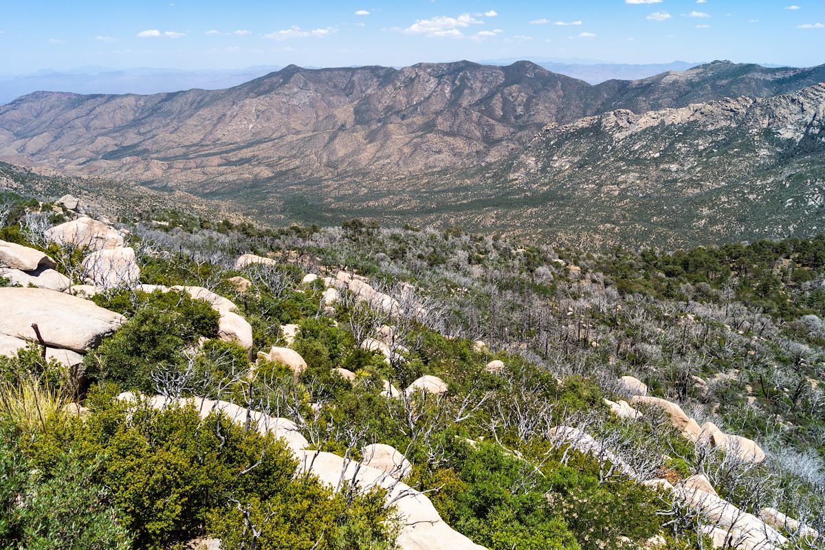 2013 June Slope below Samaniego Peak