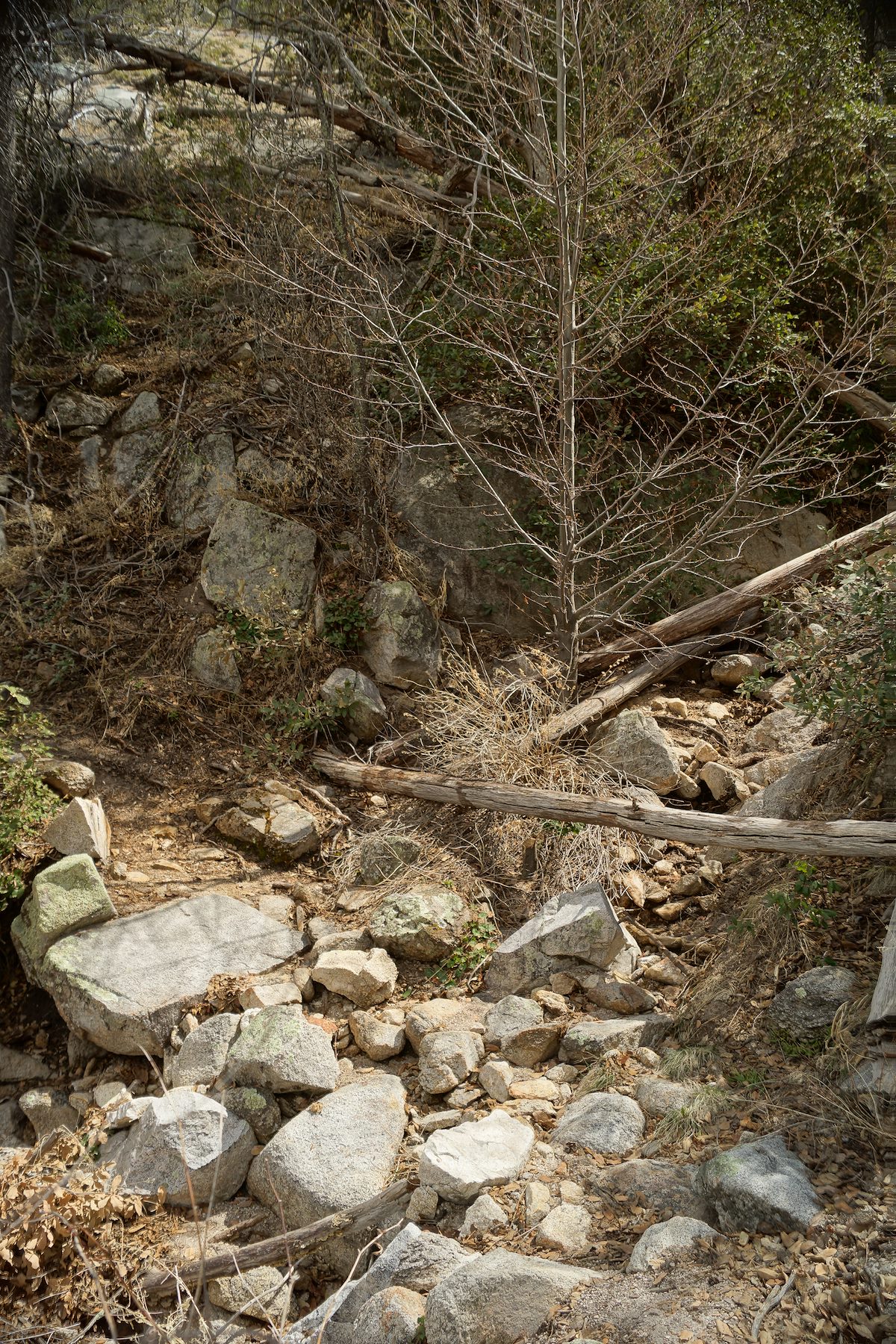 2013 March Dry crossing just above Maverick Spring