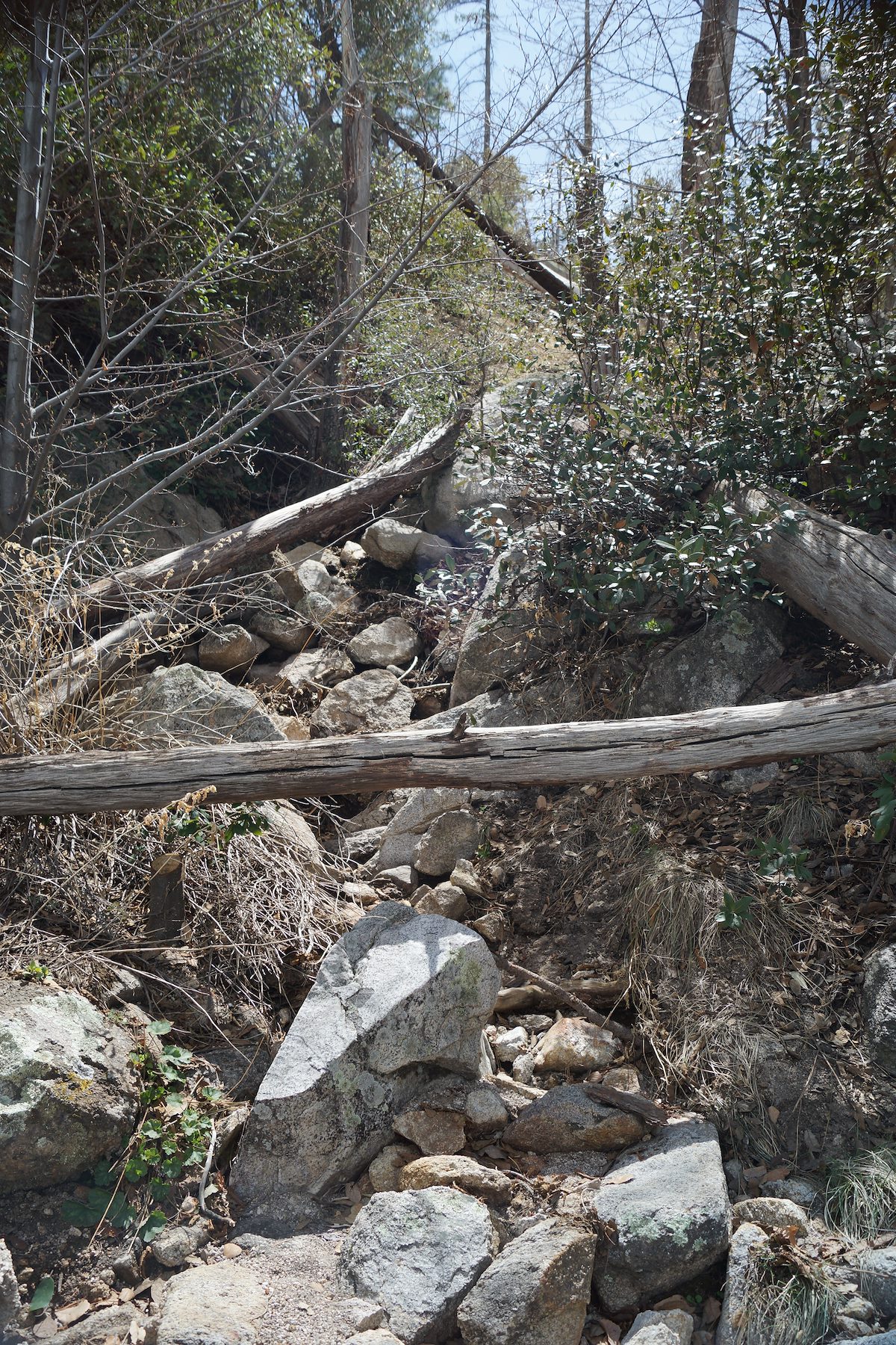 2013 March Dry Drainage above Maverick Spring
