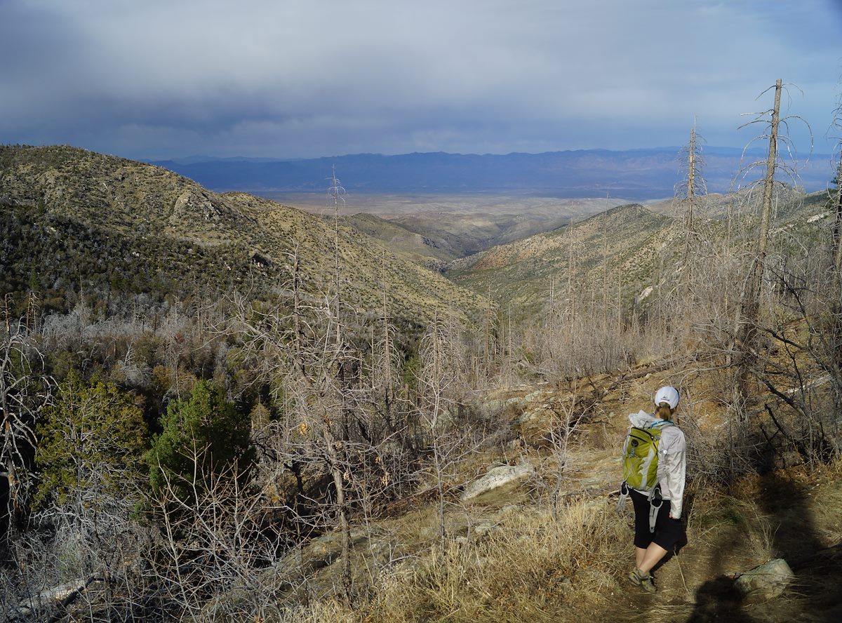 2013 March Looking Down Alder Canyon