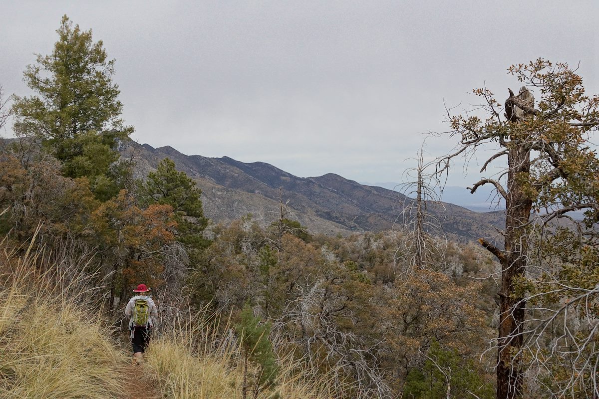 2013 March Looking towards Oracle Ridge