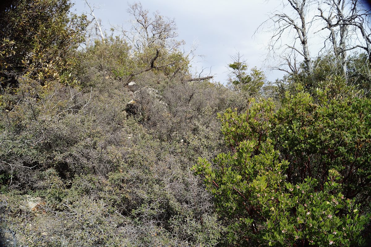 2013 March The Hillside of Point 7162