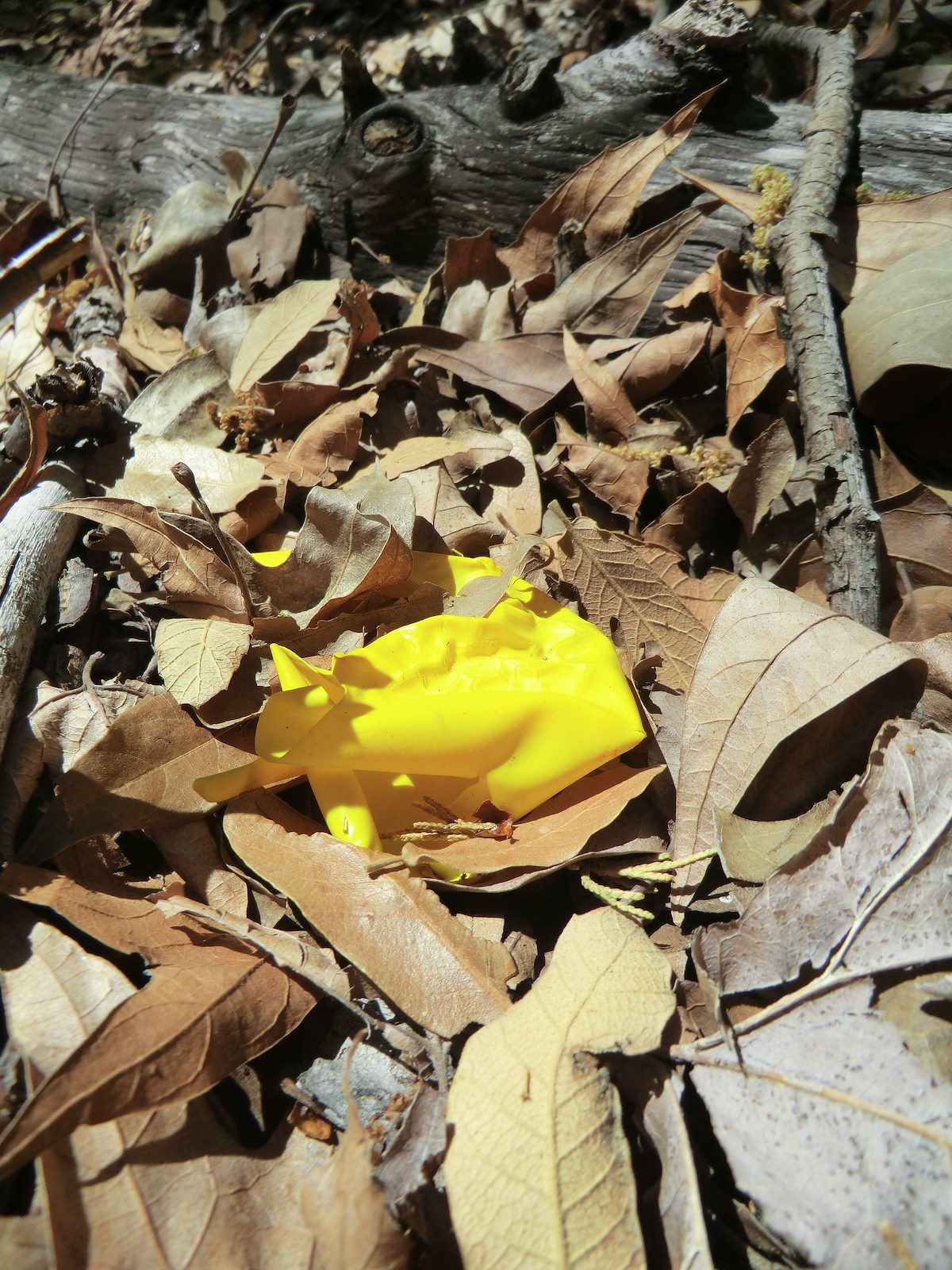 2013 May Ballon Debris