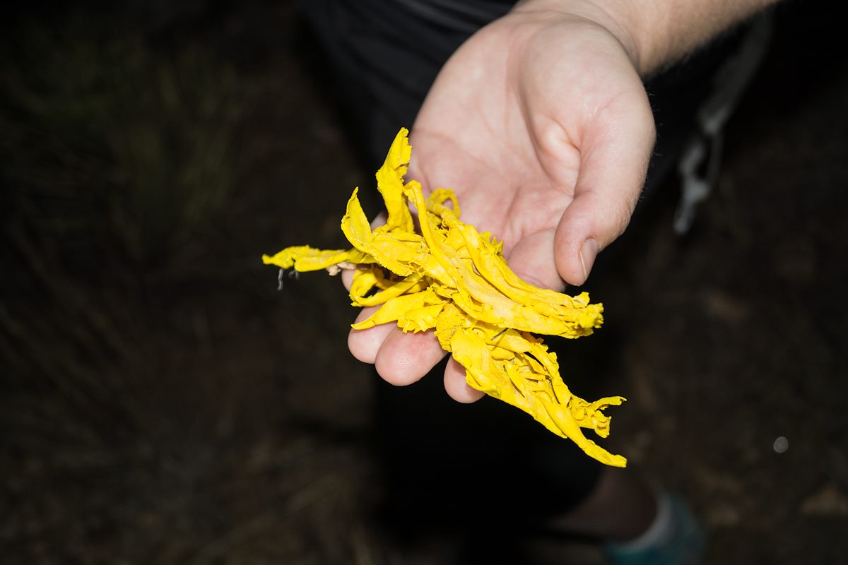 2013 May Balloon on the way to Point 4981