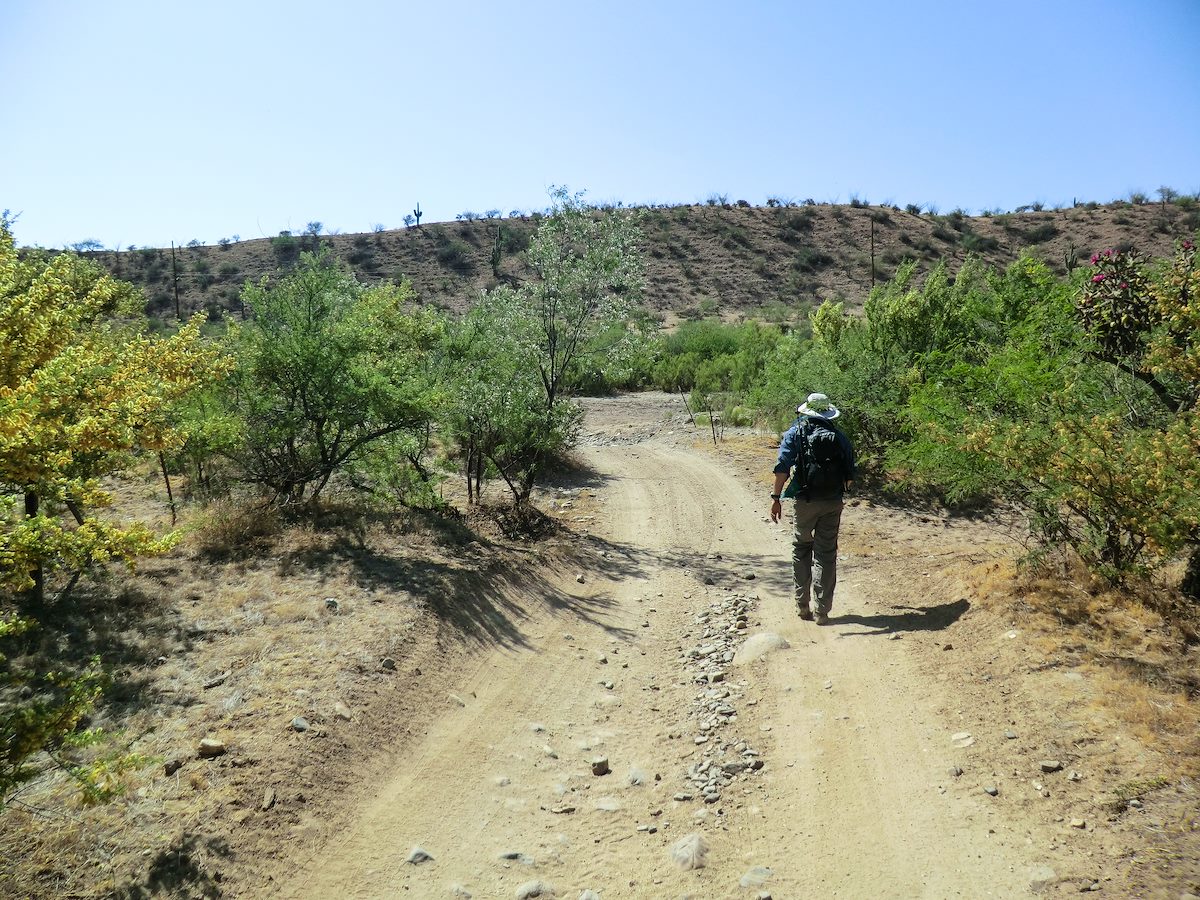 2013 May Crossing the Canada del Oro