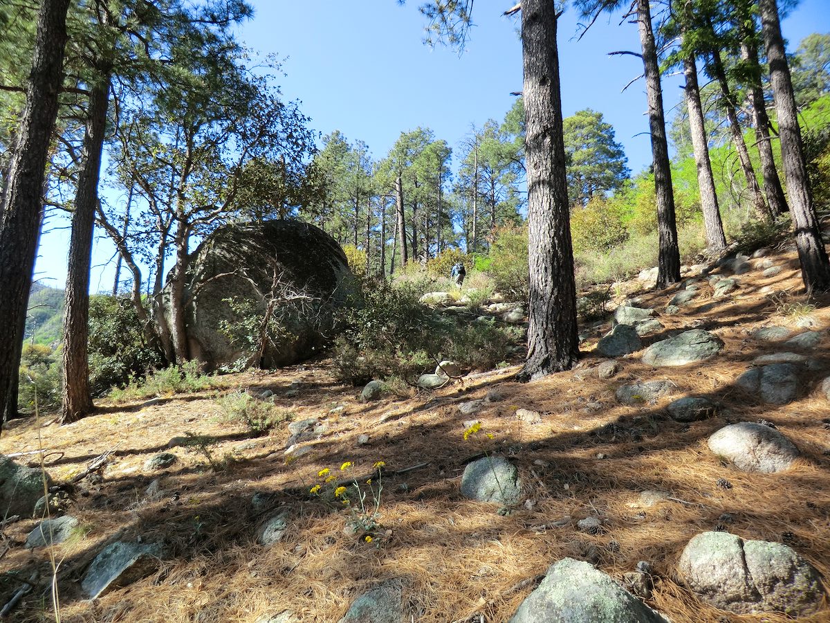 2013 May Lance in the Shovel Spring Area