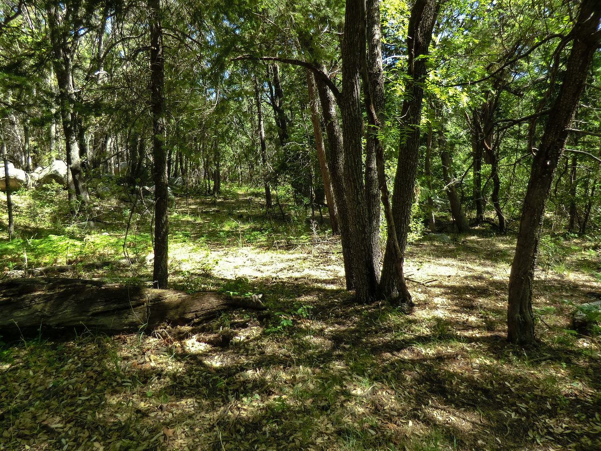 2013 May Lovely area along the Canada del Oro Trail