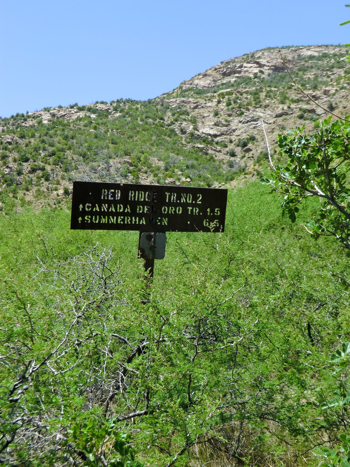 2013 May Old Style Trail Sign near FR 736