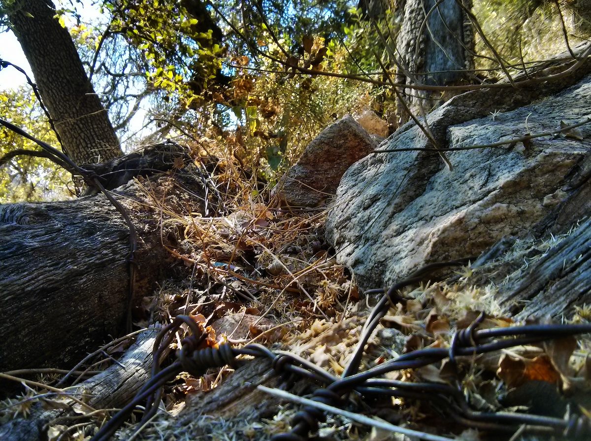 2013 November Barbed Wire near Pima Spring