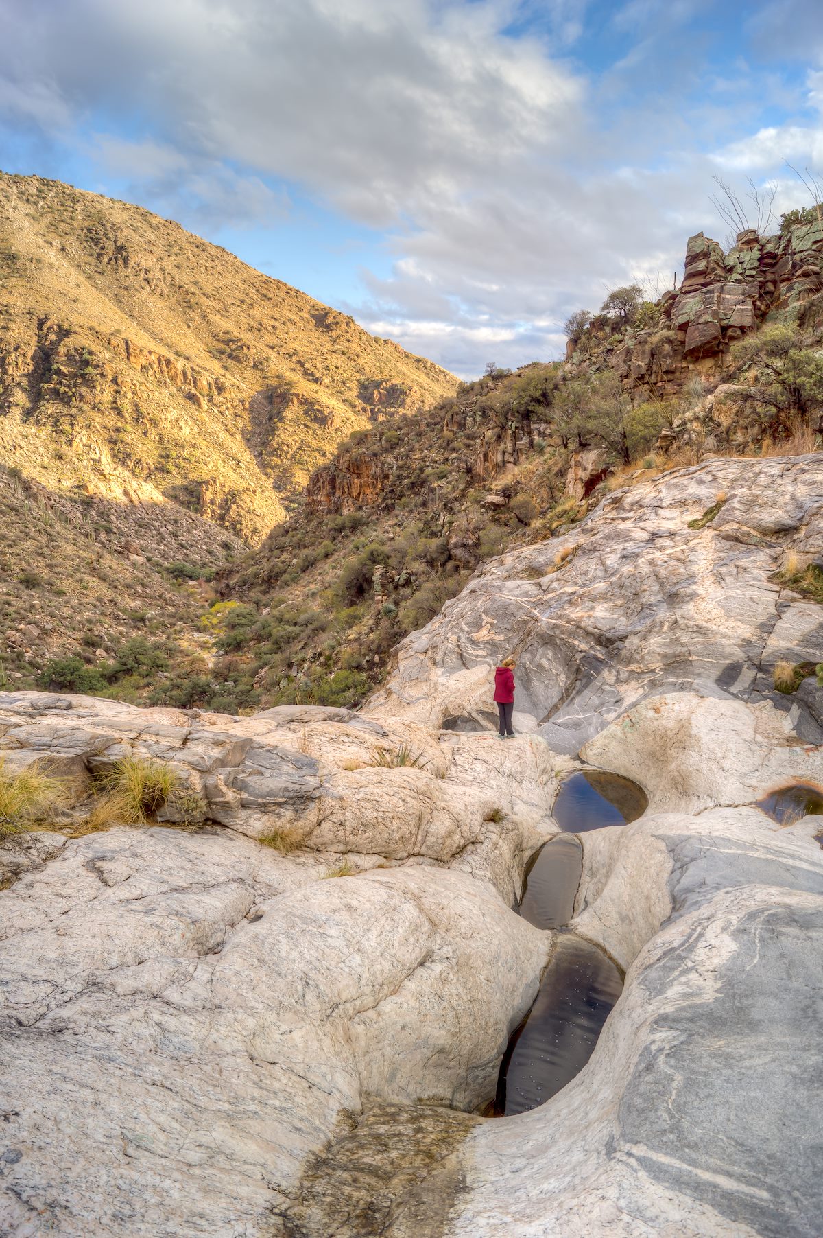2013 November Maiden Pools in Ventana Canyon