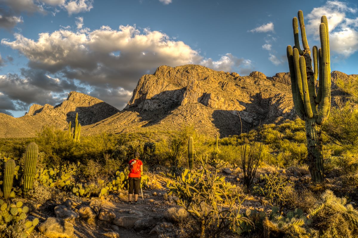2013 November Near the Linda Vista Trailhead