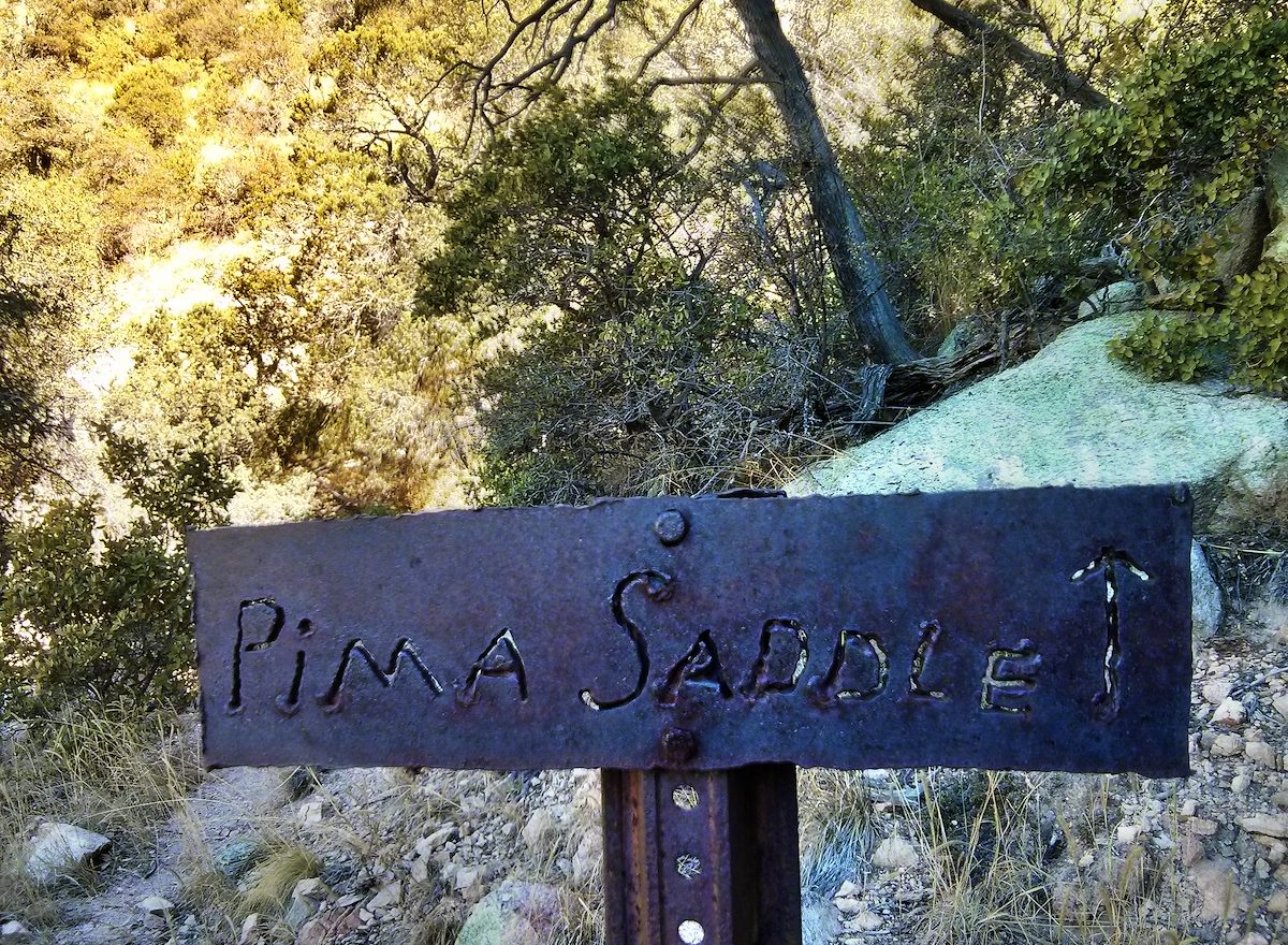 2013 November Pima Saddle Sign