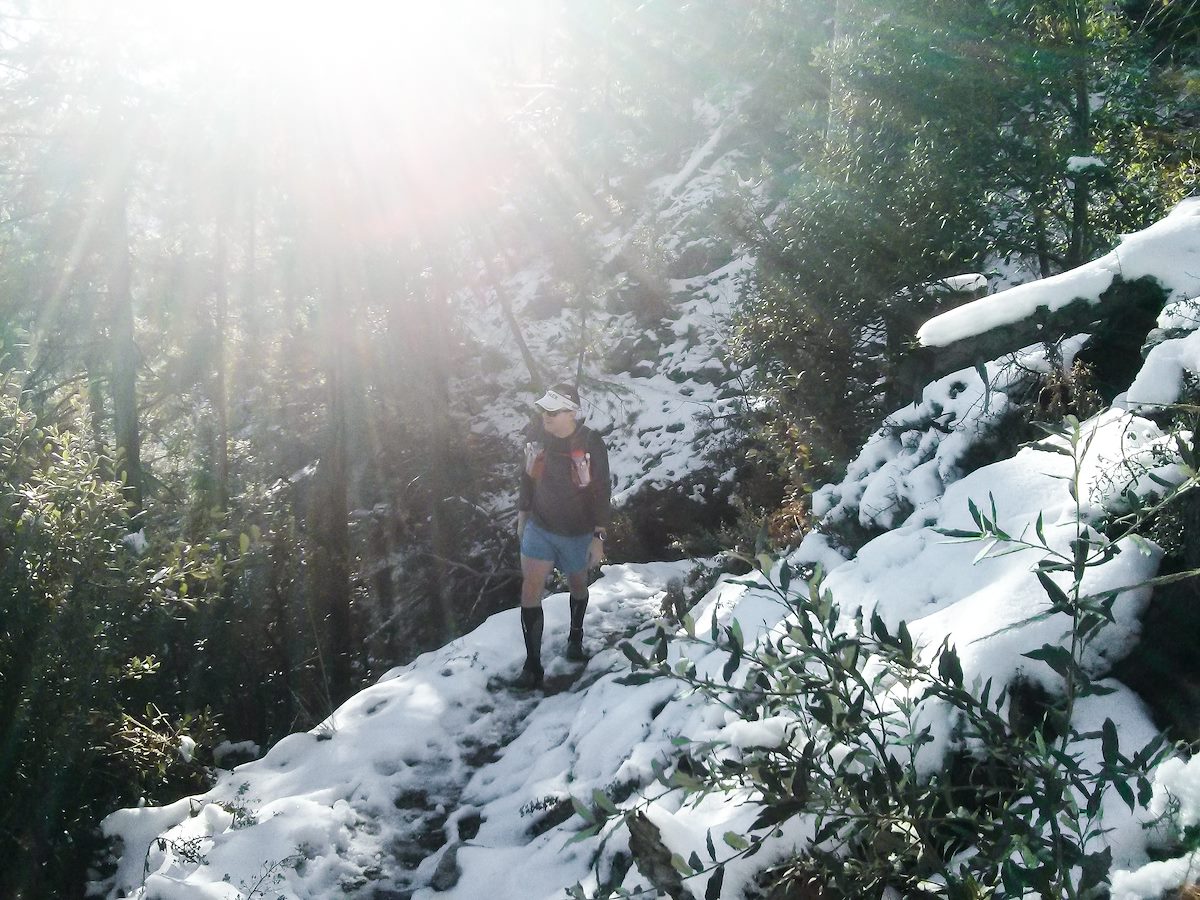 2013 November Sun And Snow on the Green Mountain Trail