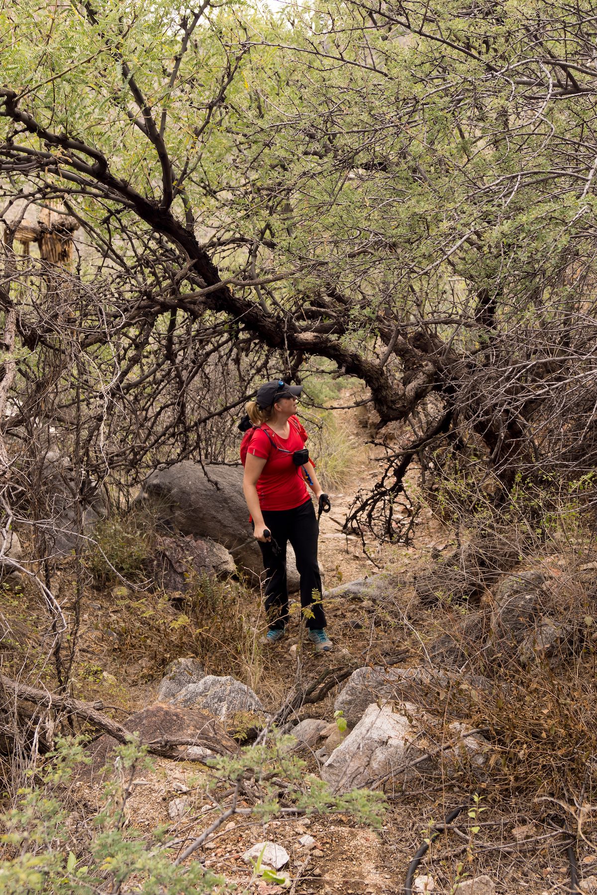 2013 November Wash up to the Saddle south of the Cleaver