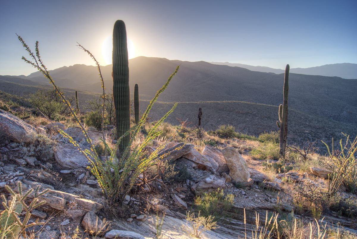 2013 October Sunrise on the Babad Doag Trail