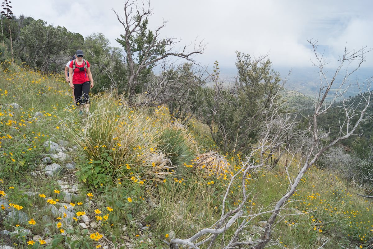2013 September Alison and Traci on the Oracle Ridge Trail