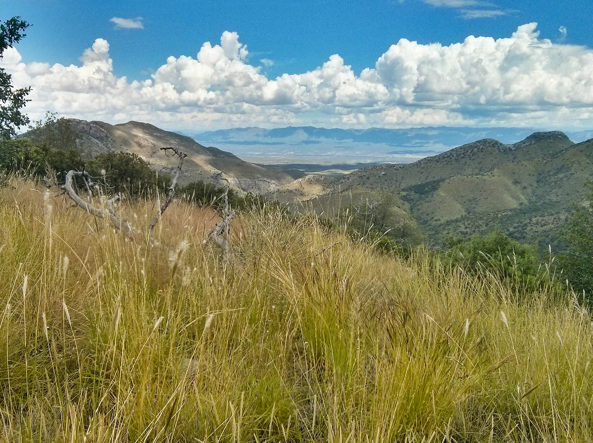 2013 September Grassy Ridge