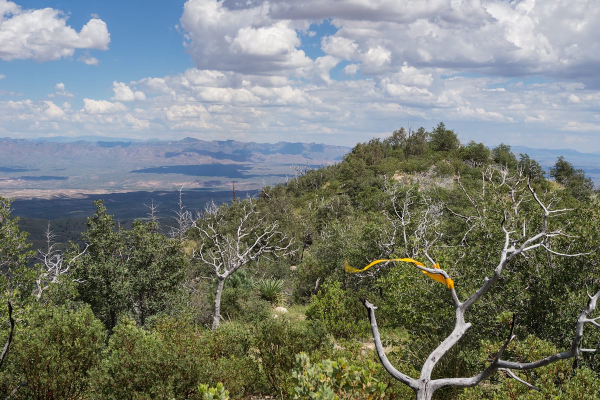 2013 September Marker in the Wind
