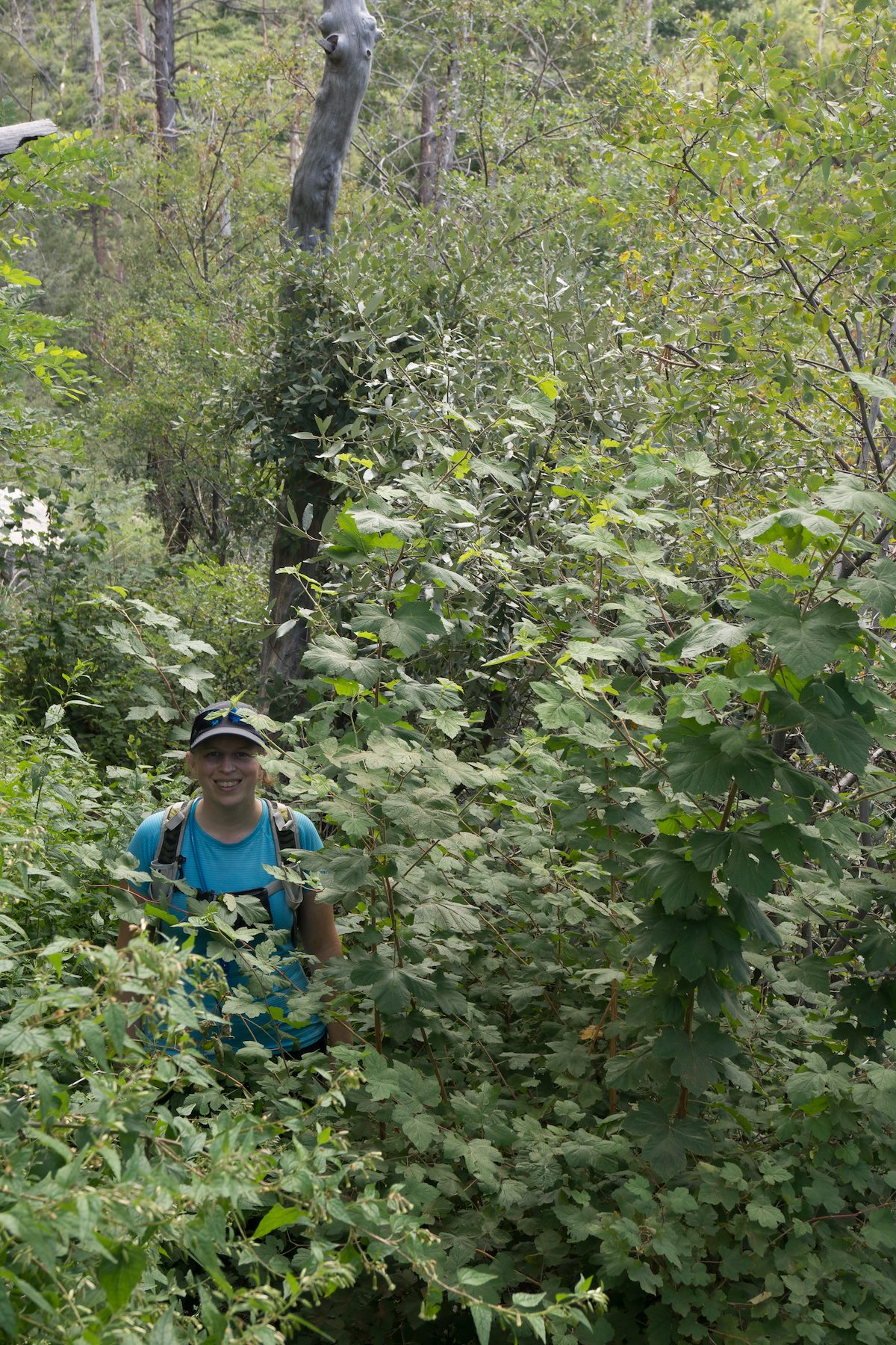 2013 September Overgrown Trail