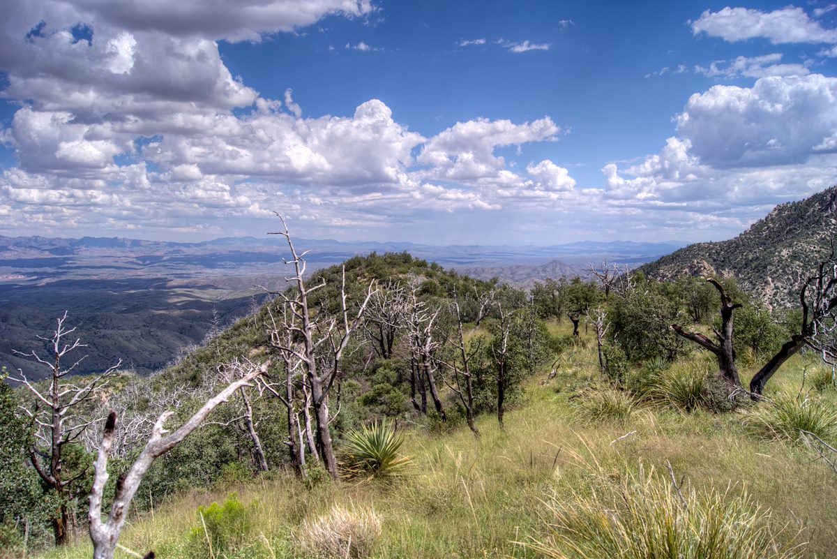 2013 September Ridge along the Brush Corral Trail