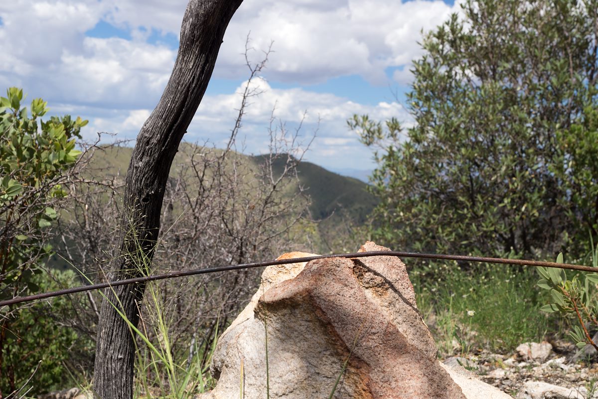 2013 September Rusting Wire along Brush Corral