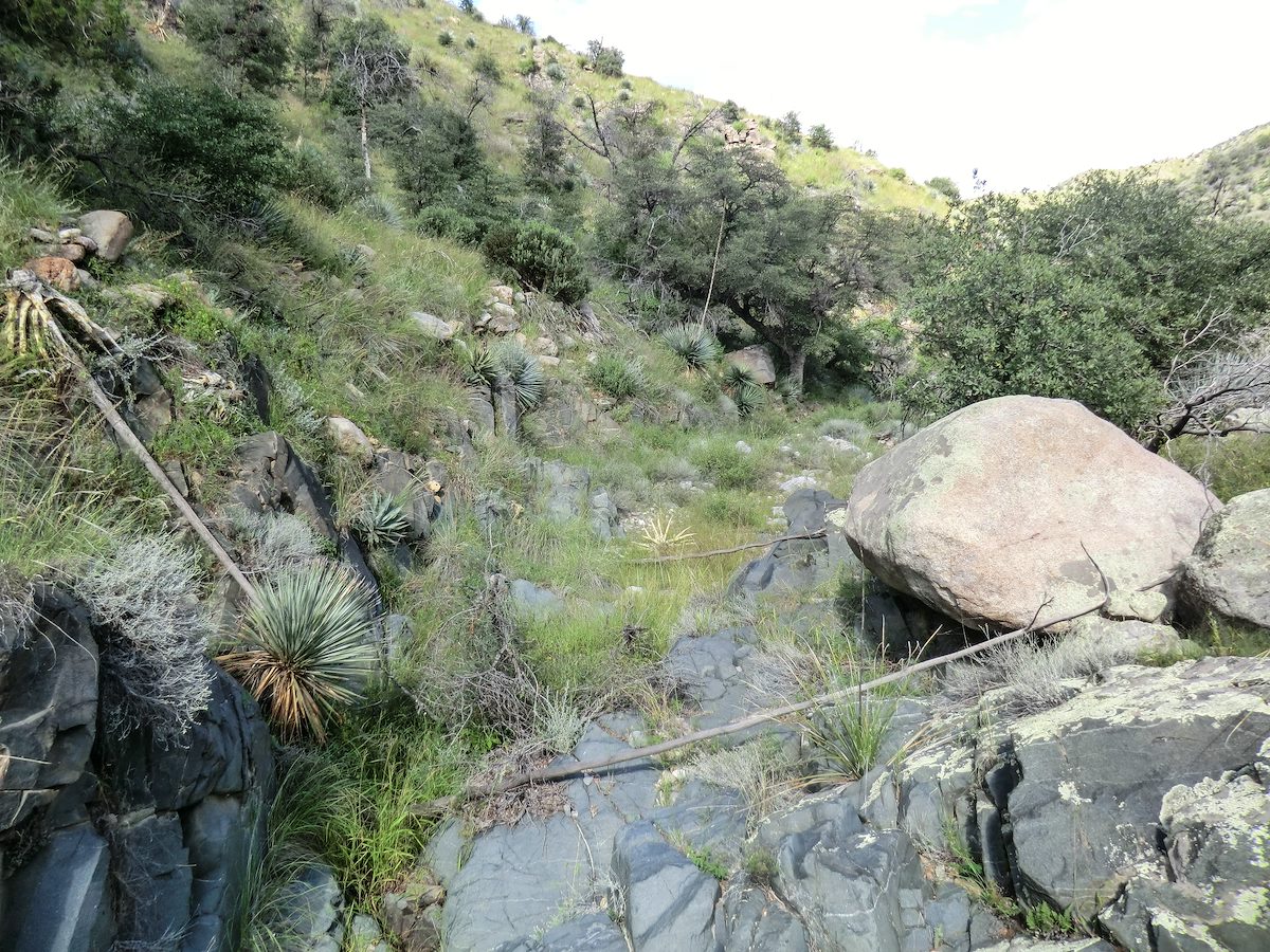 2013 September Supposed Trail Crossing