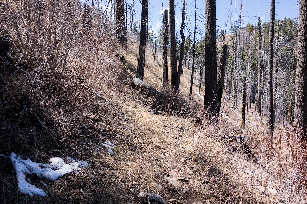 2014 April A last Bit of Snow near the Butterfly Trail