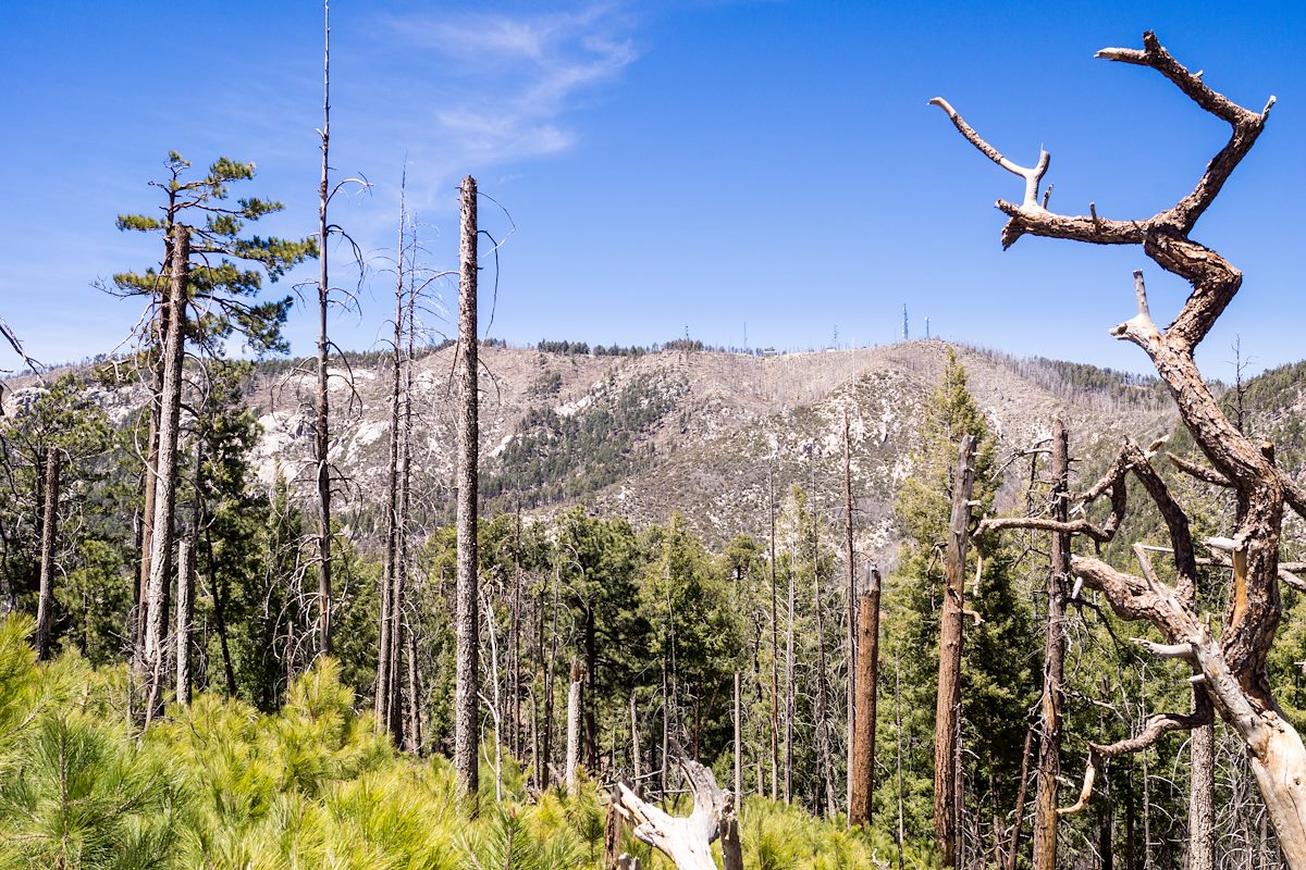 2014 April Antennas on the Ridge from the Aspen Trail