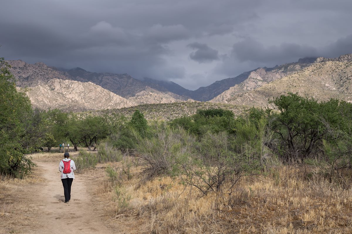 2014 April Bridal Trail near the trailhead in Catalina State Park
