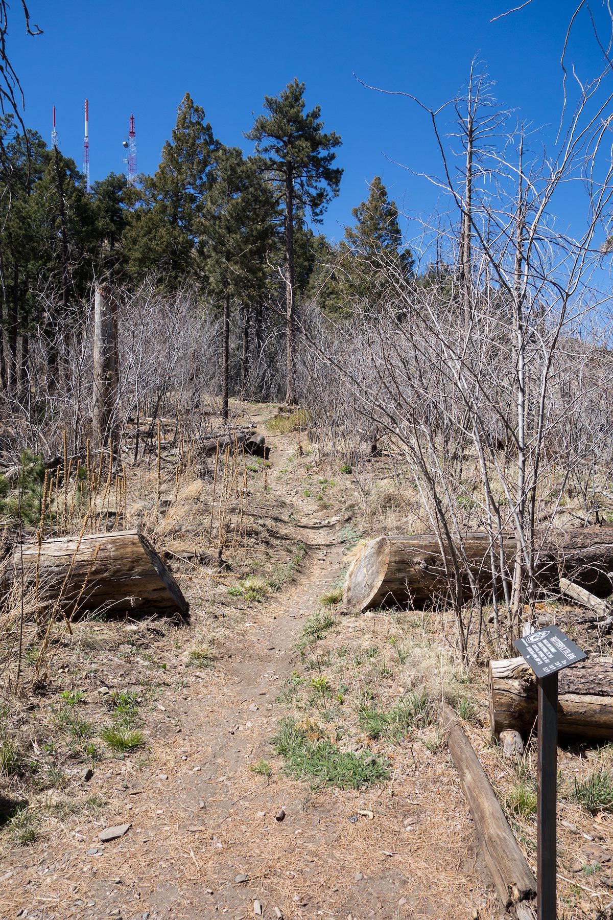 2014 April Butterfly Bigelow Trail Junction and Sign Bigelow in the Background
