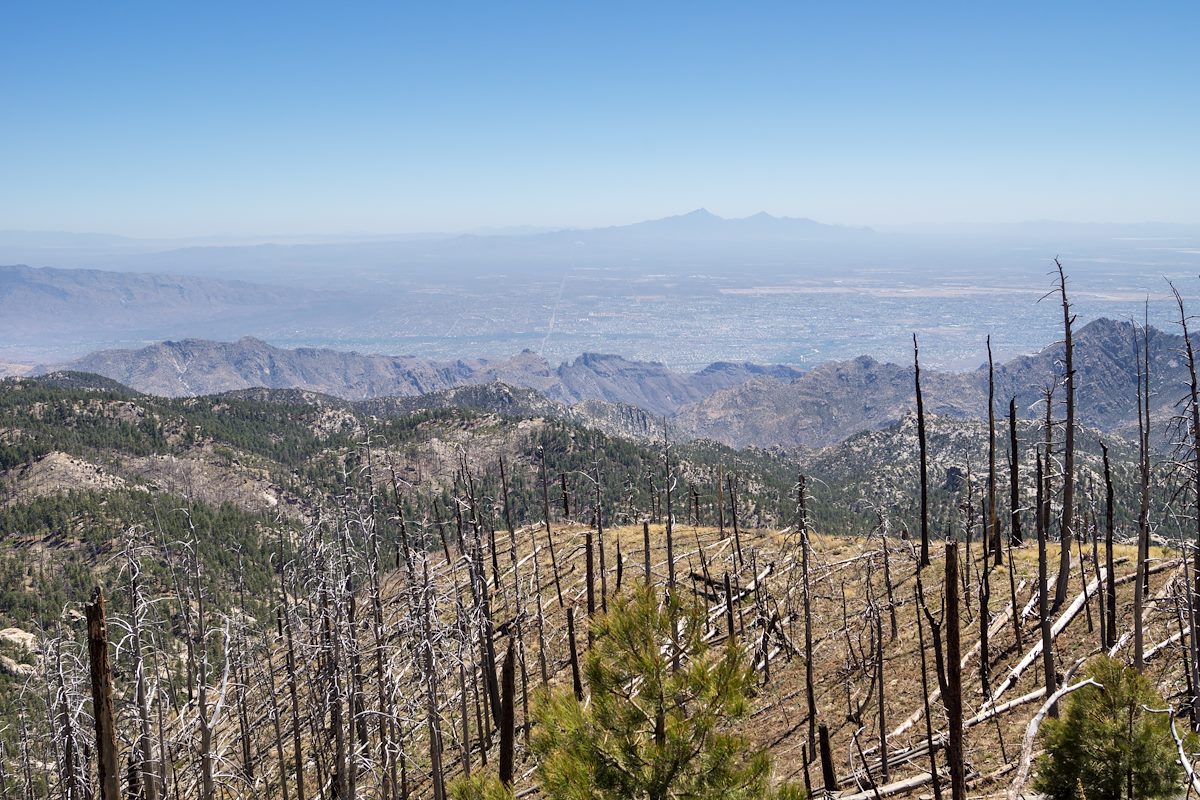 2014 April East Ridge of Bear Canyon and East Ridge of Sabino