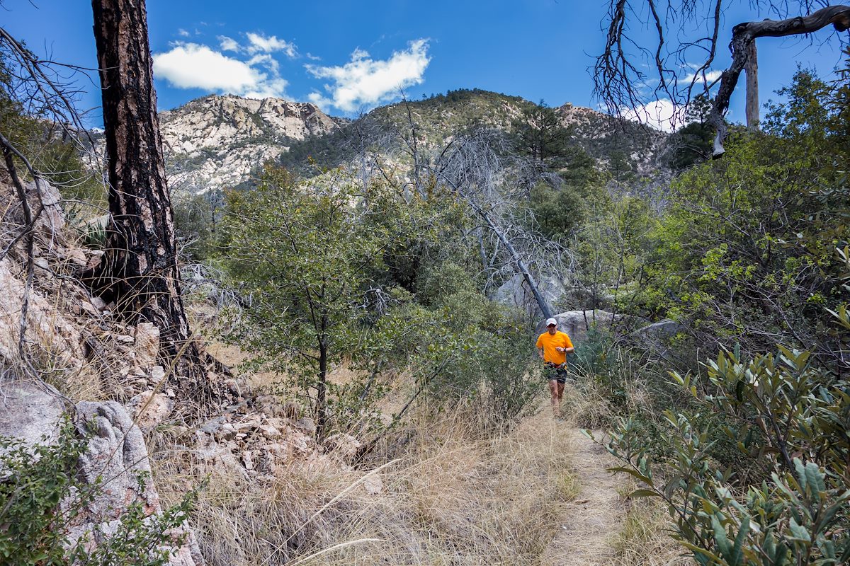 2014 April High in Romero Canyon on the Romero Canyon Trail