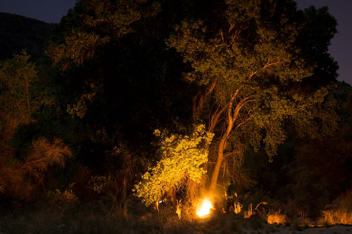 2014 April In Bear Canyon Camping off the Sycamore Reservoir Trail