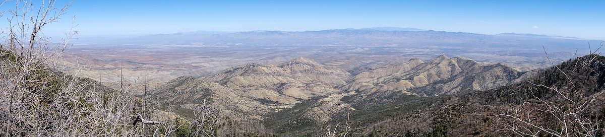 2014 April Looking down into the Peck Basin Area from the Butterfly Trail