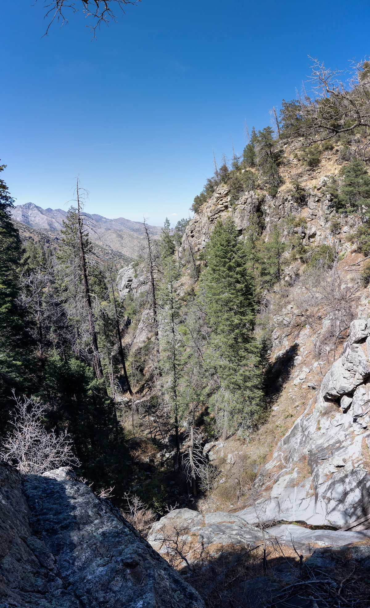 2014 April Novio Falls from Just off the Butterfly Trail