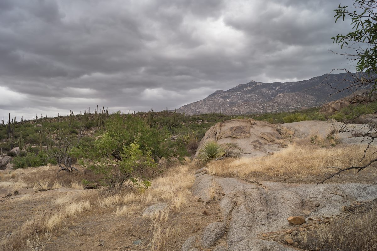 2014 April Samaniego Peak from the Sutherland Trail