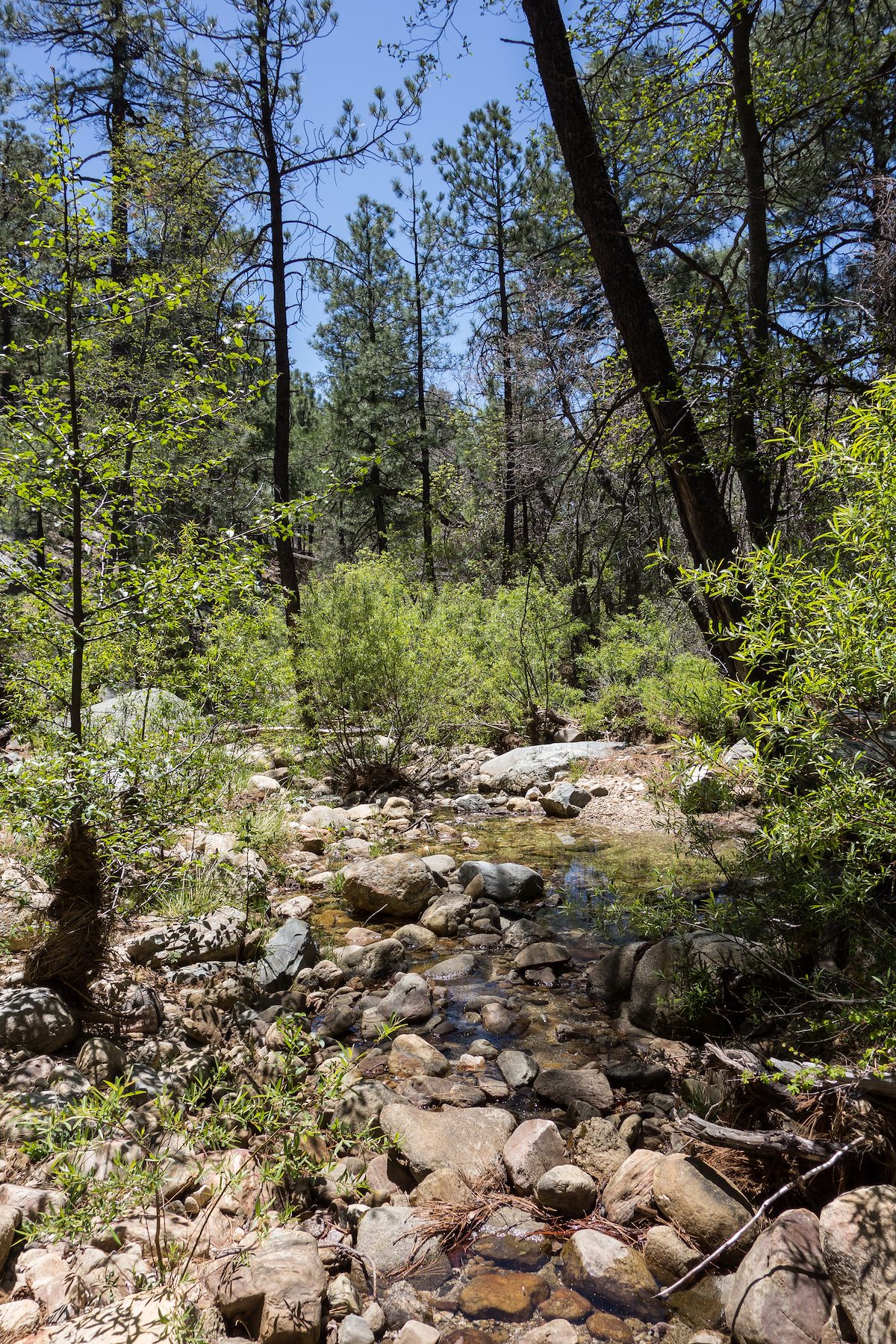 2014 April Stream crossing on the Wilderness of Rocks