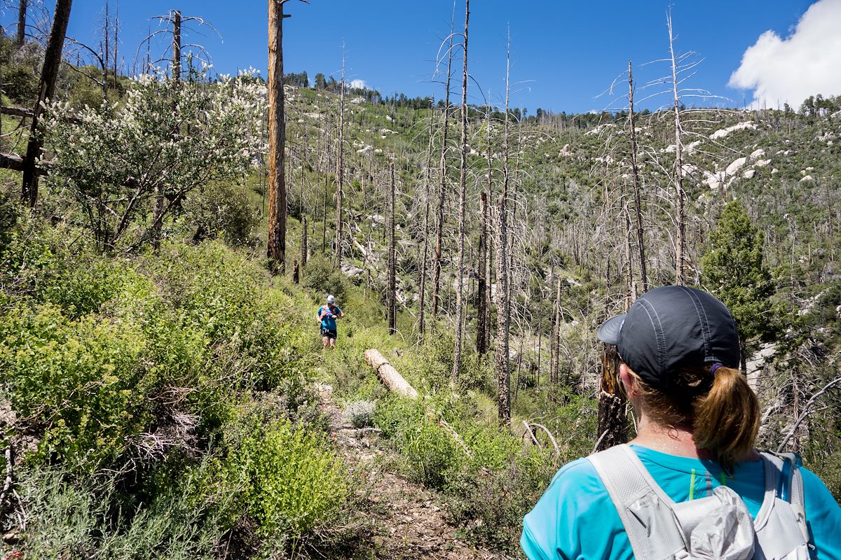 2014 August Crystal Spring Trail