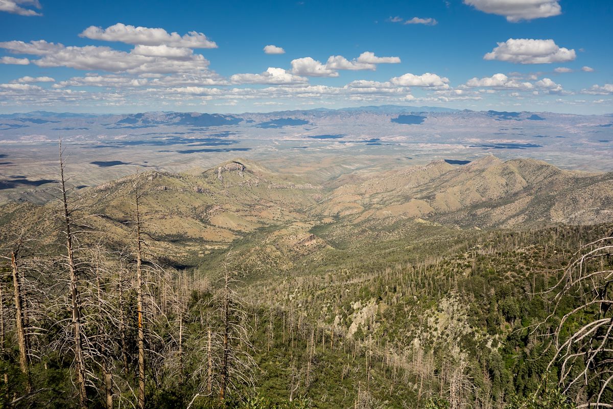 2014 August Looking down into Peck Basin from the Butterfly Trail
