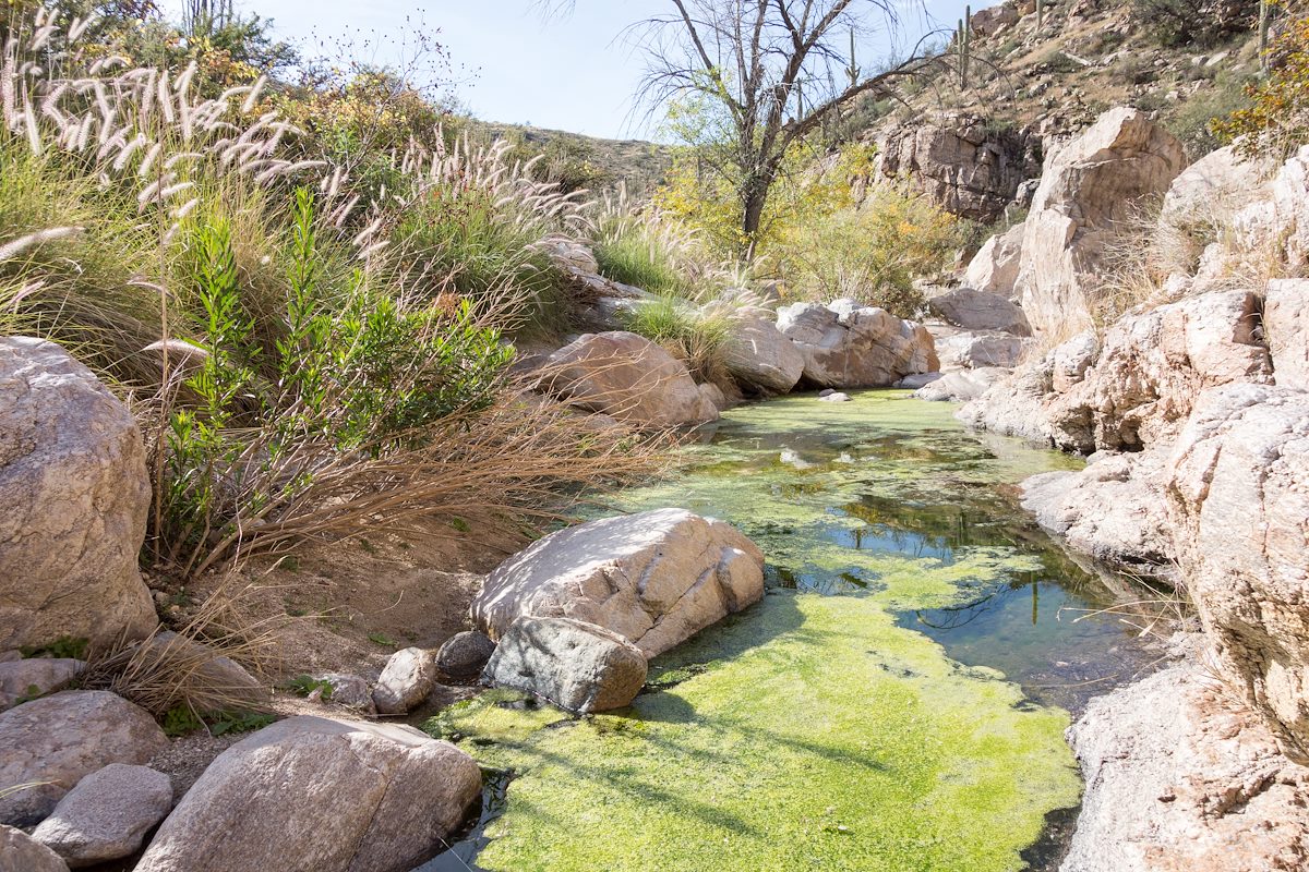 2014 December Agua Caliente Canyon