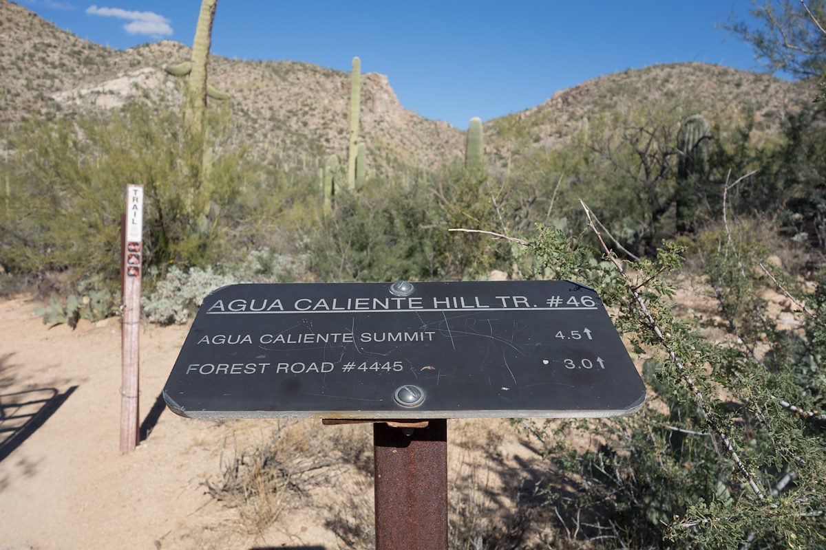 2014 December Agua Caliente Hill South Trailhead Small Trail Sign