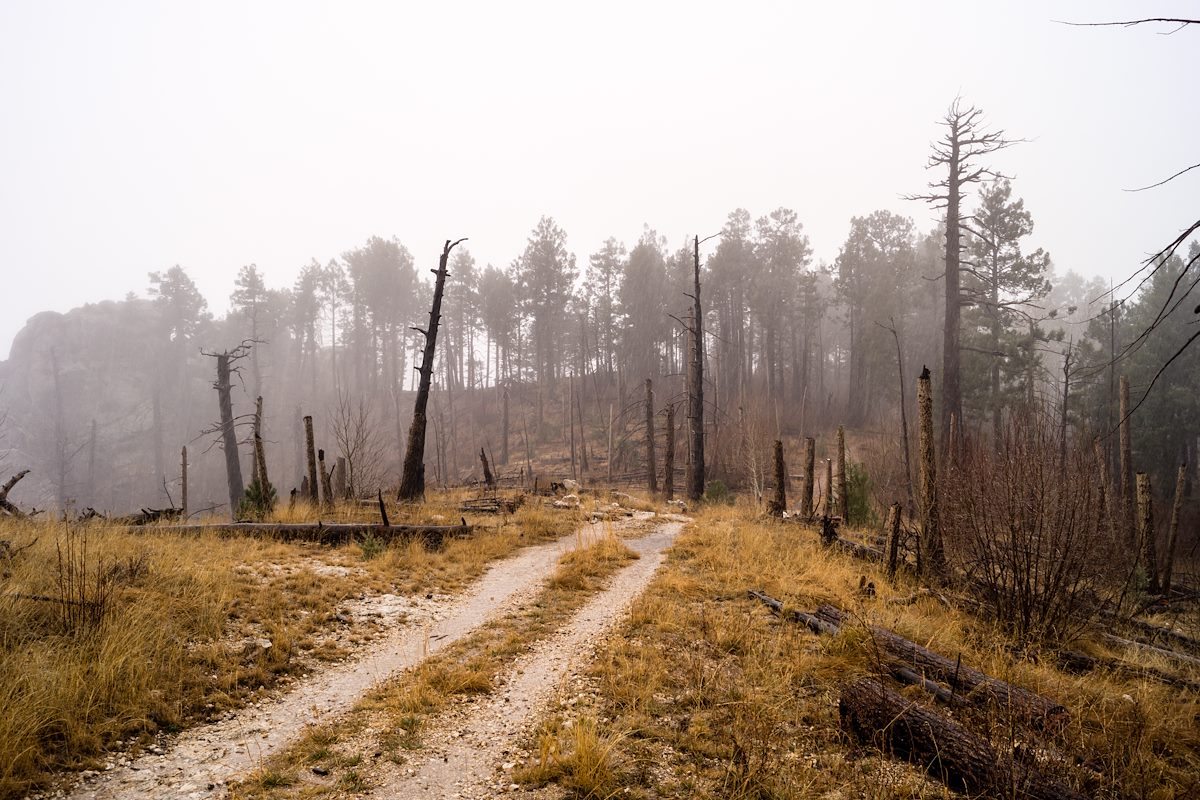 2014 December Clouds covering the top of the Santa Catalina Mountains