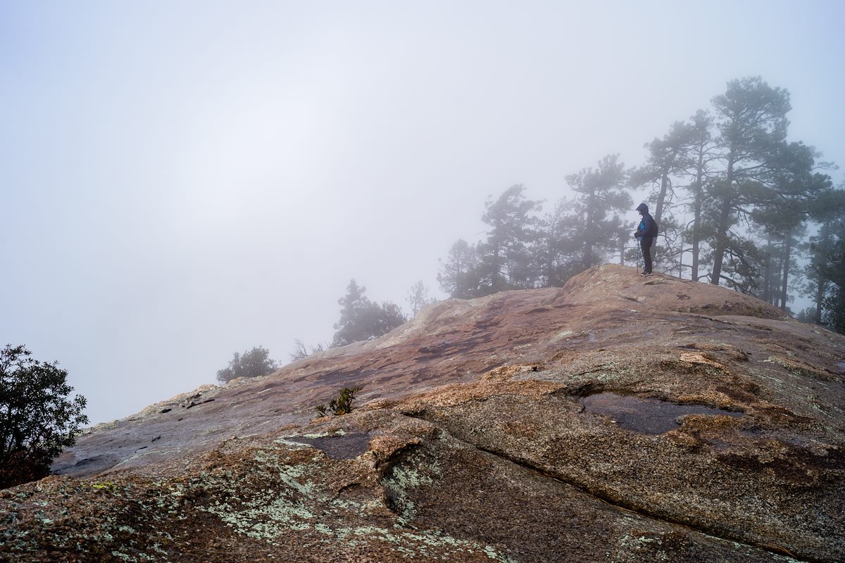2014 December Enjoying the Storm
