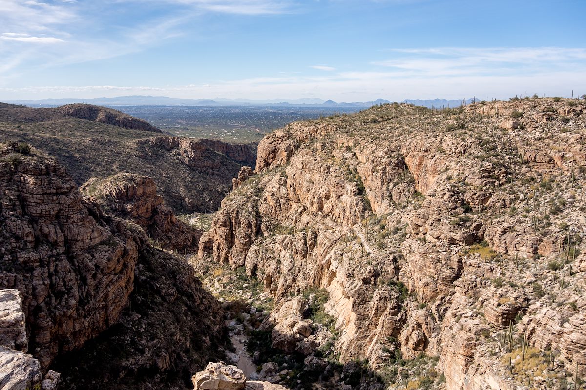 2014 December Looking Down into Agua Caliente Canyon from near the Milagrosa Trail