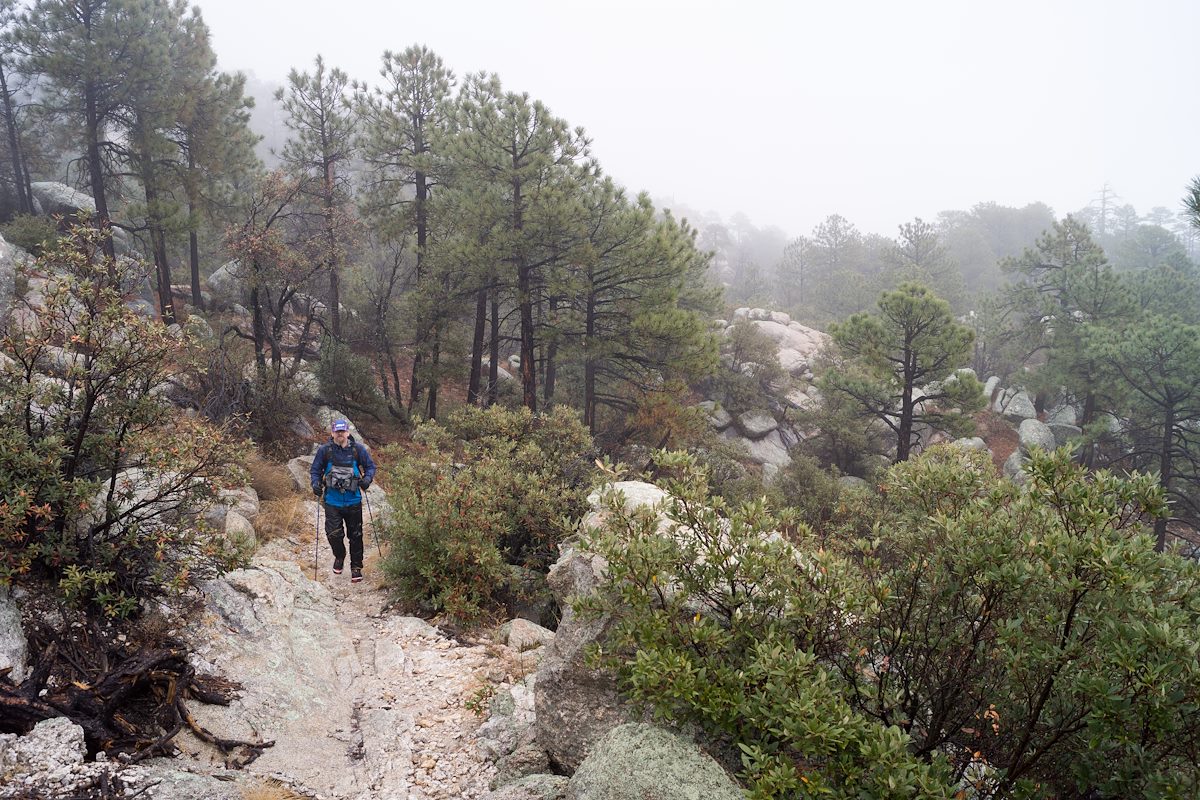 2014 December On the Mount Lemmon Trail