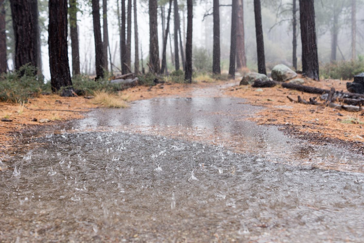 2014 December Rain on the Box Camp Trail