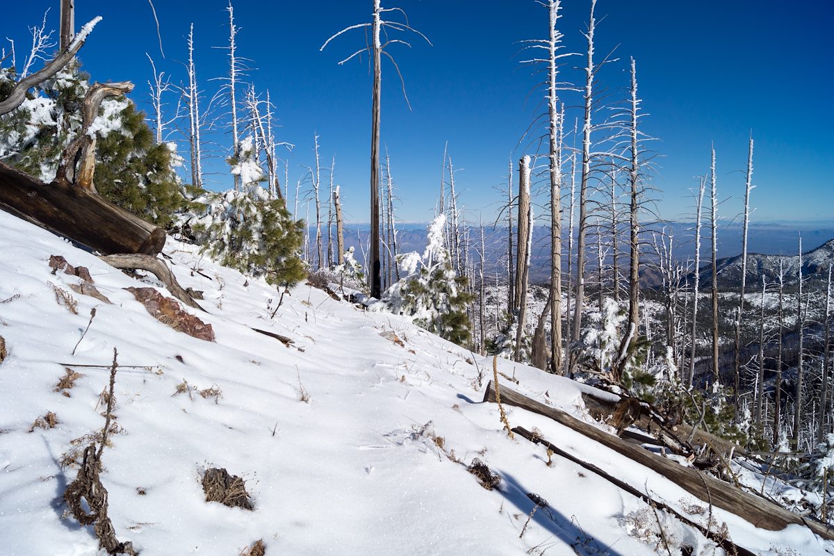 2014 December Snowy Aspen Trail