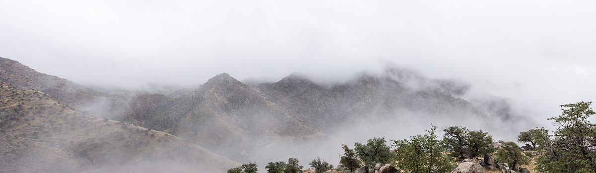 2014 December Storm from the Box Camp Trail