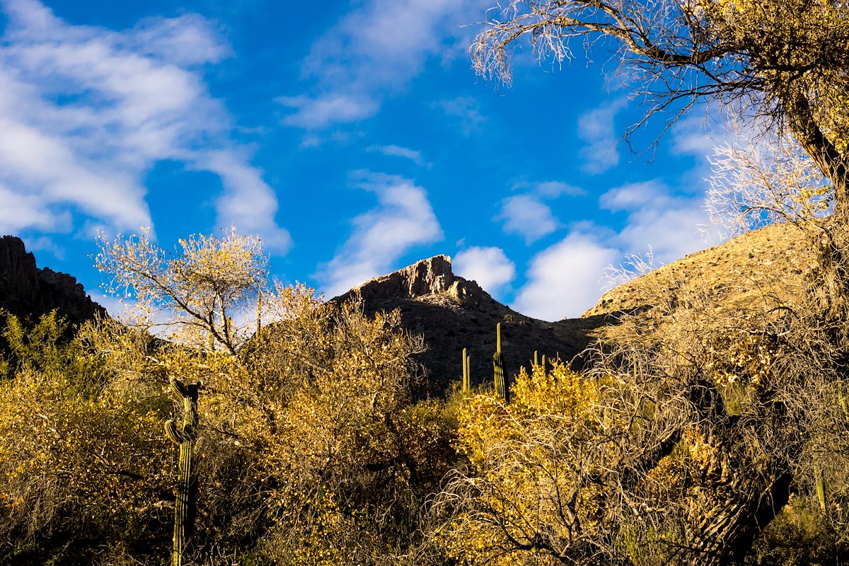 2014 January Light and Shadows on the Cleaver