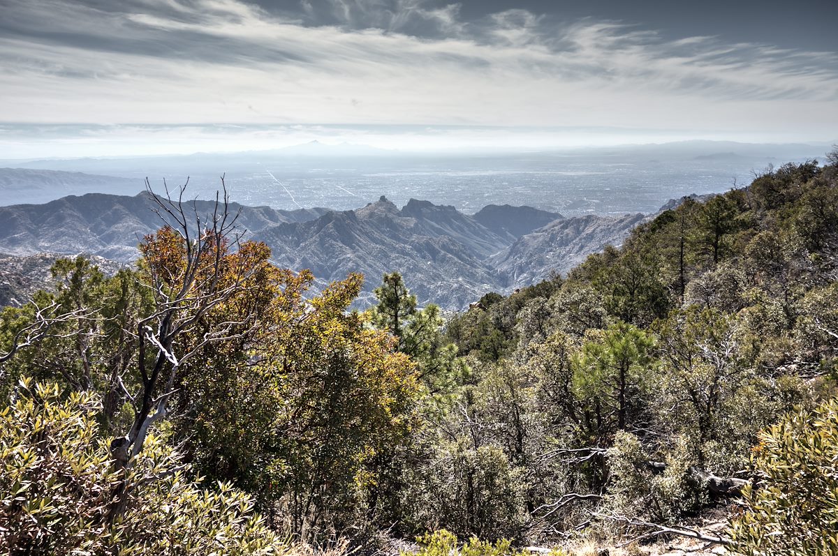 2014 January Looking down from the Box Camp Trail